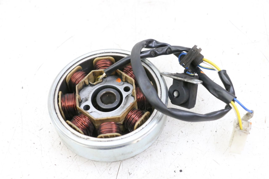 photo de ROTOR STATOREN LONGJIA DIGITA 4T 50 (2019 - 2022) - Zoom op gebruiksstaat