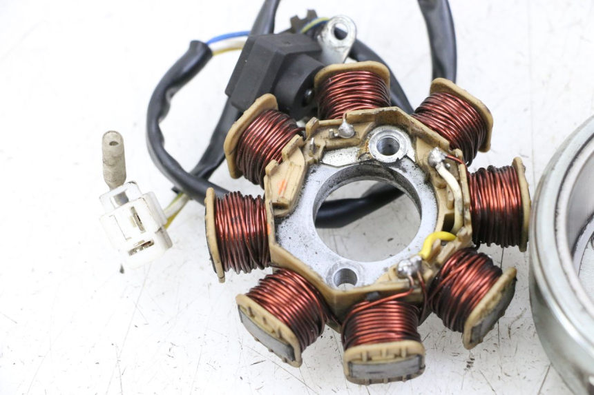 photo de ROTOR STATOREN LONGJIA DIGITA 4T 50 (2019 - 2022) - Technische close-up