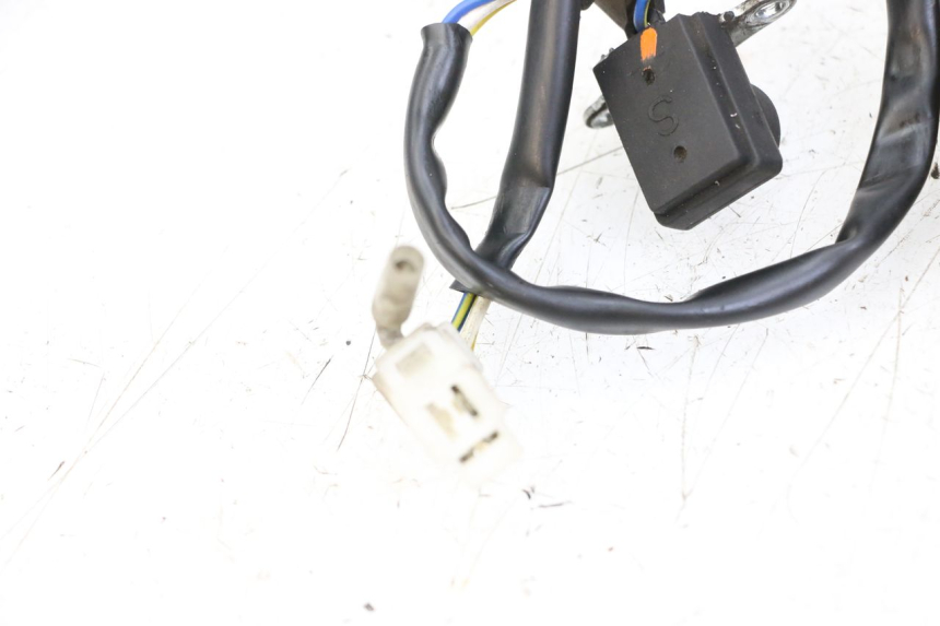 photo de ROTOR STATOREN LONGJIA DIGITA 4T 50 (2019 - 2022) - Bevestigingspunten