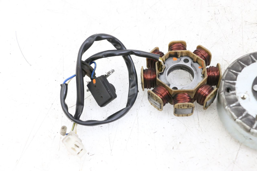 photo de ROTOR STATOREN LONGJIA DIGITA 4T 50 (2019 - 2022) - Staat van het oppervlak