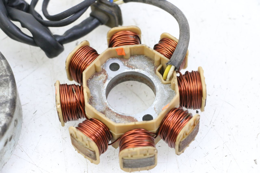 photo de ROTOR STATOREN JM MOTORS EVOLIS 4T 50 (2018 - 2022) - Kenmerkende details