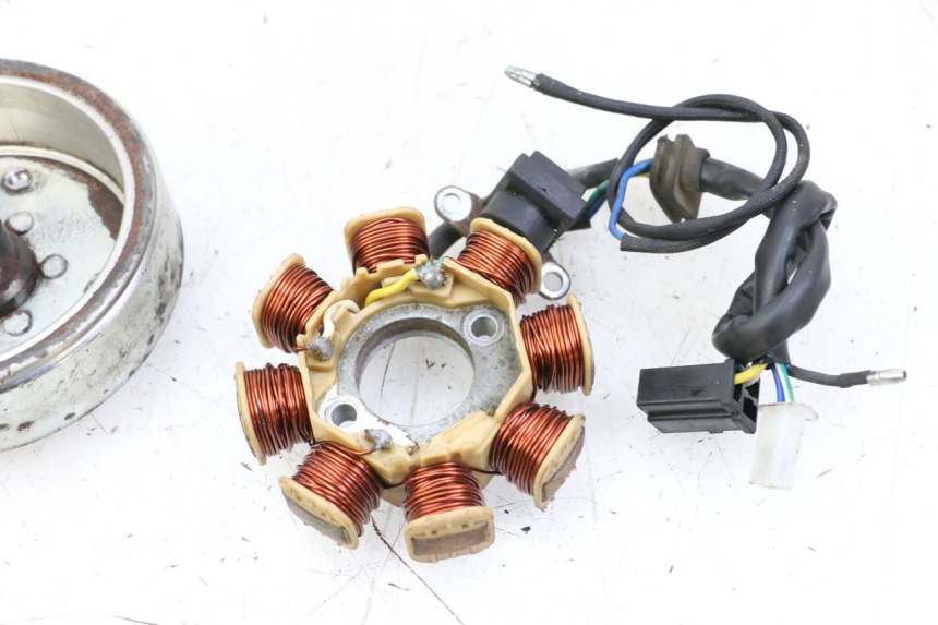 photo de ROTOR STATOREN JM MOTORS EVOLIS 4T 50 (2018 - 2022) - Zoom op gebruiksstaat