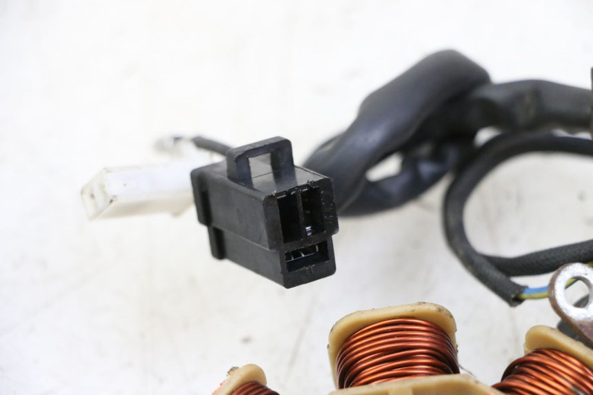 photo de ROTOR STATOREN JM MOTORS EVOLIS 4T 50 (2018 - 2022) - Overzicht