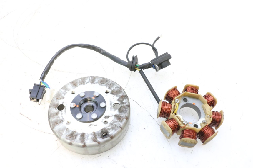 photo de ROTOR STATOREN JM MOTORS EVOLIS 4T 50 (2018 - 2022) - Hoofdaanzicht