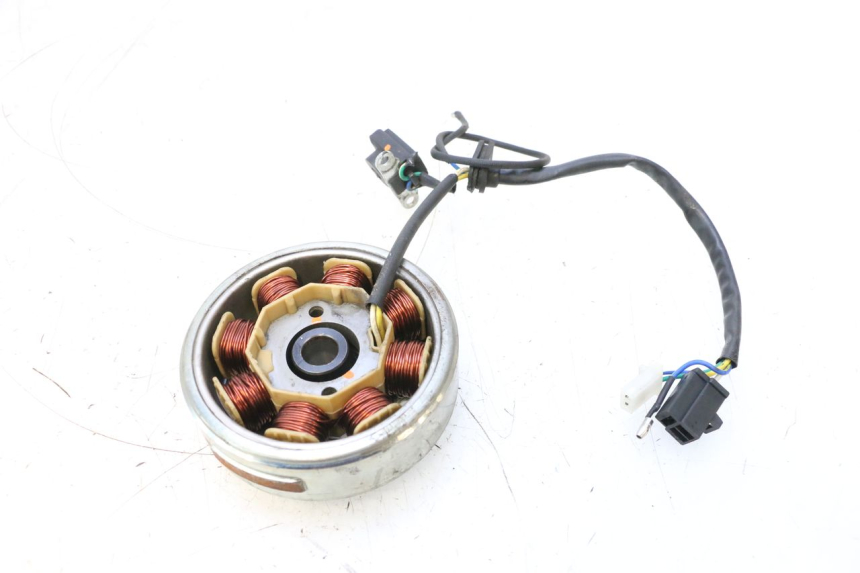 photo de ROTOR STATOREN JM MOTORS EVOLIS 4T 50 (2018 - 2022) - Andere kijkhoek
