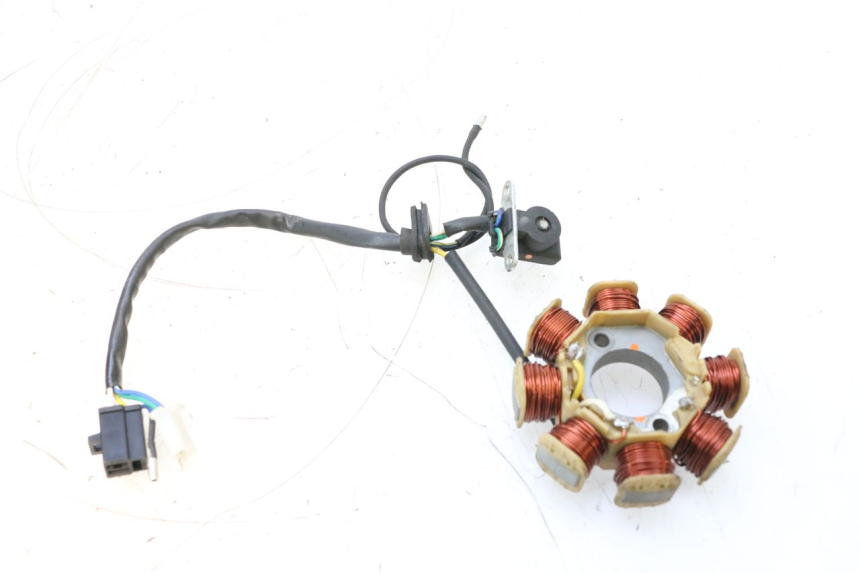 photo de ROTOR STATOREN JM MOTORS EVOLIS 4T 50 (2018 - 2022) - Technische close-up
