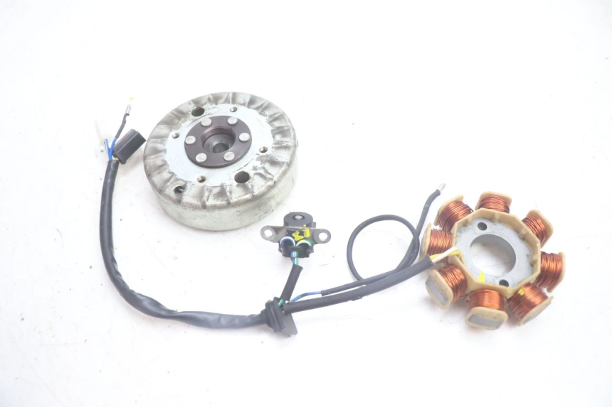 photo de ROTOR STATOREN JM MOTORS EVOLIS 4T 50 (2018 - 2022) - Hoofdaanzicht