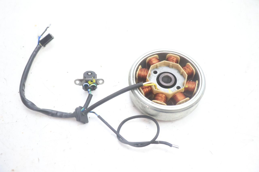 photo de ROTOR STATOREN JM MOTORS EVOLIS 4T 50 (2018 - 2022) - Zoom op gebruiksstaat