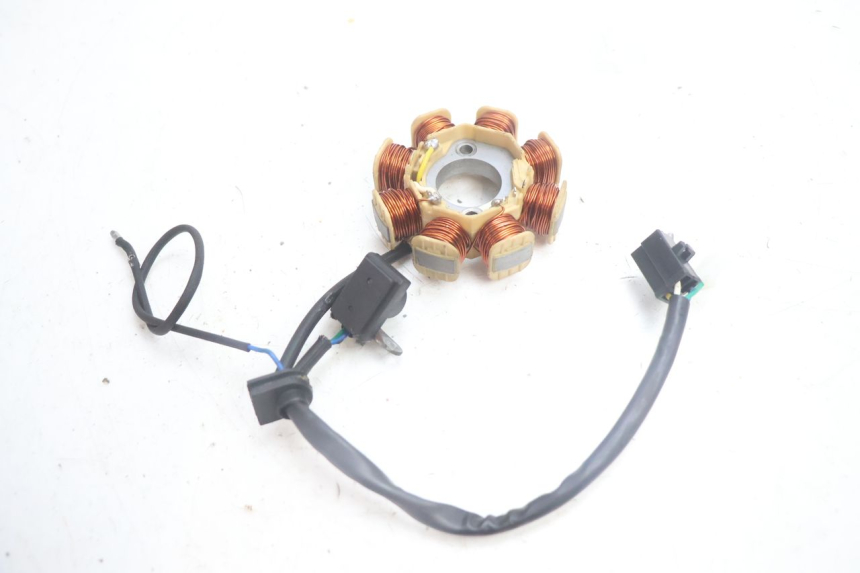 photo de ROTOR STATOREN JM MOTORS EVOLIS 4T 50 (2018 - 2022) - Andere kijkhoek