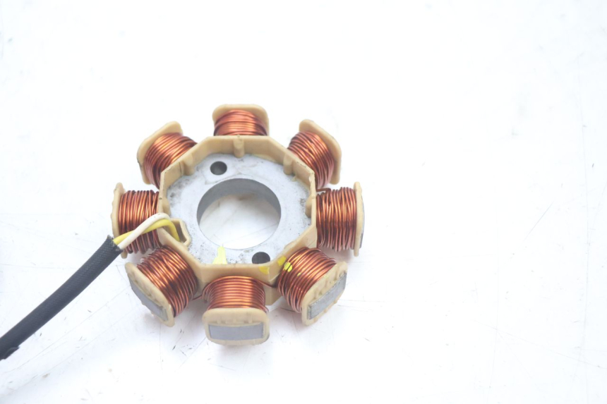 photo de ROTOR STATOREN JM MOTORS EVOLIS 4T 50 (2018 - 2022) - Technische close-up