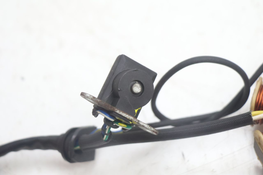 photo de ROTOR STATOREN JM MOTORS EVOLIS 4T 50 (2018 - 2022) - Overzicht