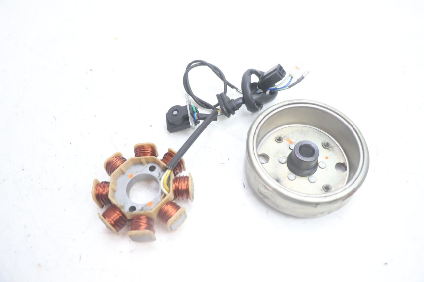 photo de ROTOR STATOREN JM MOTORS EVOLIS 4T 50 (2018 - 2022) - Hoofdaanzicht