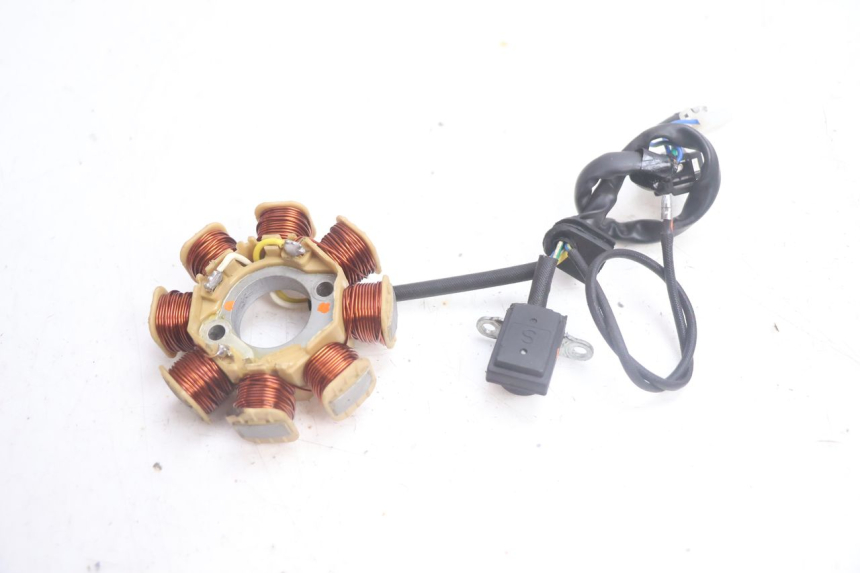 photo de ROTOR STATOREN JM MOTORS EVOLIS 4T 50 (2018 - 2022) - Productaanzicht