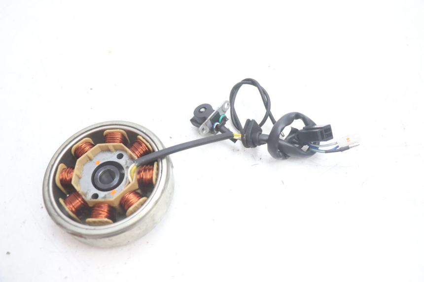 photo de ROTOR STATOREN JM MOTORS EVOLIS 4T 50 (2018 - 2022) - Andere kijkhoek