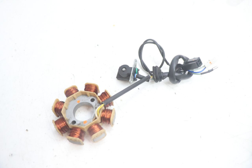 photo de ROTOR STATOREN JM MOTORS EVOLIS 4T 50 (2018 - 2022) - Bevestigingspunten