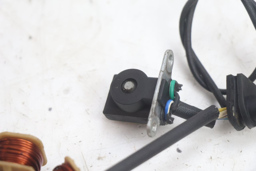 photo de ROTOR STATOREN JM MOTORS EVOLIS 4T 50 (2018 - 2022) - Gecontroleerd onderdeel