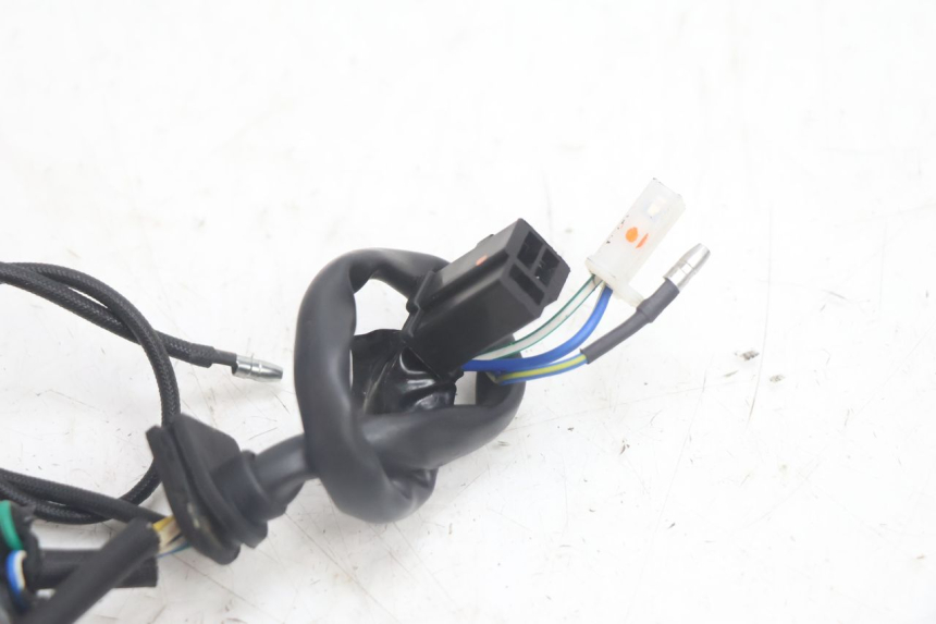 photo de ROTOR STATOREN JM MOTORS EVOLIS 4T 50 (2018 - 2022) - Markeringen en referenties