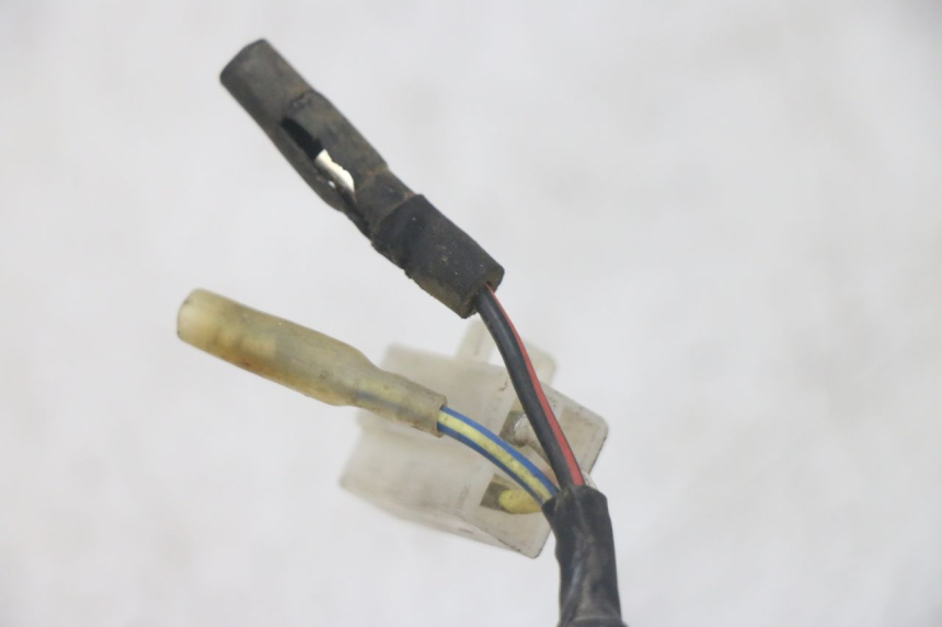 photo de ROTOR STATOREN EUROCKA GTR 50 (2007 - 2017) - Andere kijkhoek