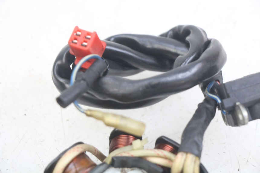 photo de ROTOR STATOREN REVATTO IMPERATOR 125 (2007 - 2015) - Technische close-up