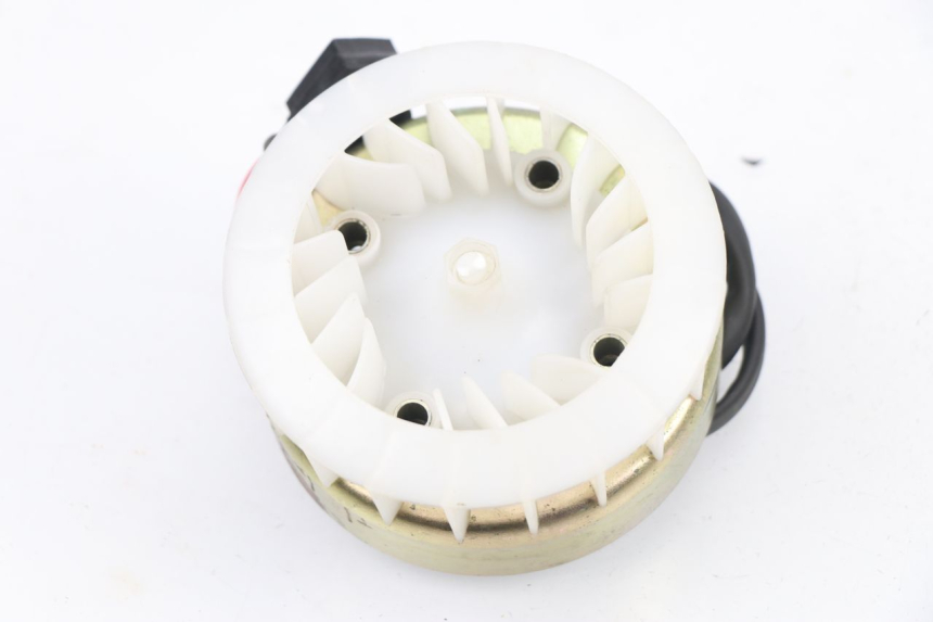 photo de ROTOR STATOREN REVATTO JOYSTICK 50 (2006 - 2012) - Detail van het onderdeel