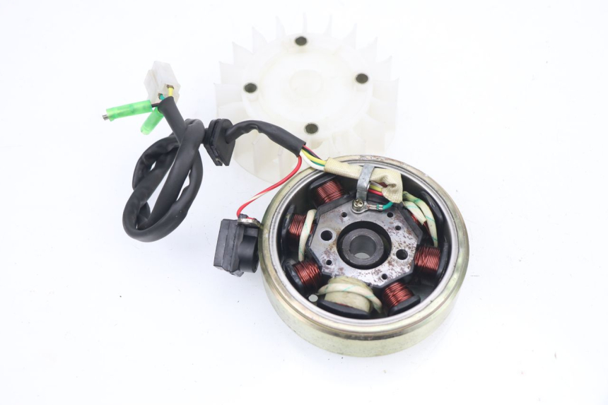 photo de ROTOR STATOREN REVATTO JOYSTICK 50 (2006 - 2012) - Zoom op gebruiksstaat