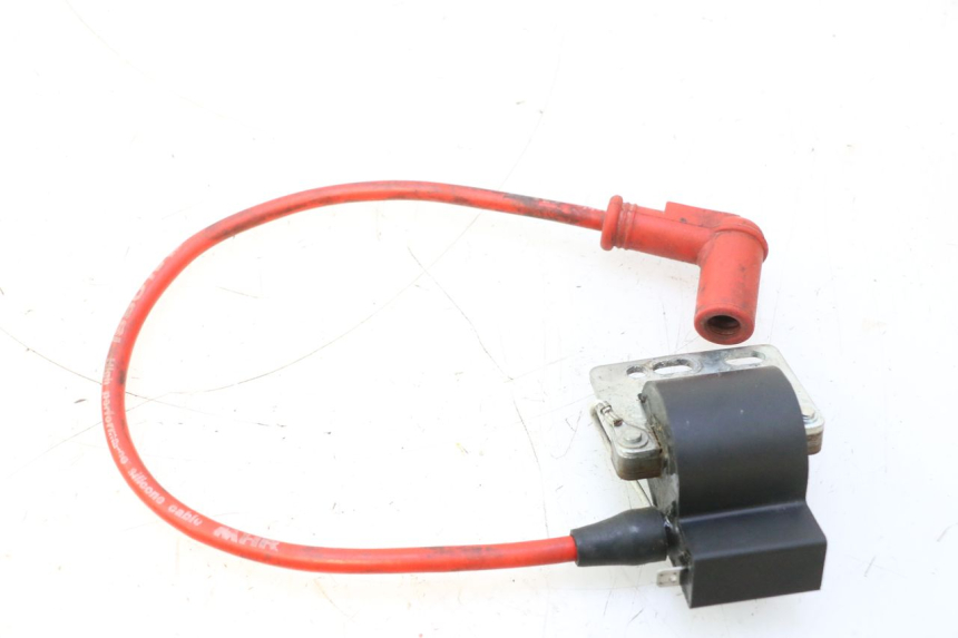 photo de ROTOR STATORE PEUGEOT LUDIX BLASTER 50 (2006 - 2014) - Kenmerkende details