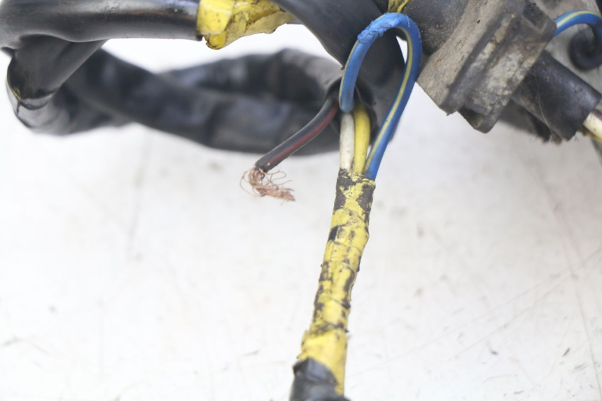 photo de ROTOR STATORE PEUGEOT LUDIX 50 (2005 - 2007) - Overzicht