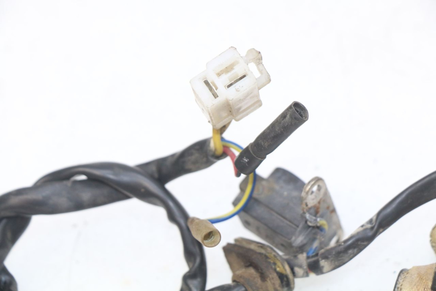 photo de ROTOR STATOREN JM MOTORS OLDIES 4T 50 (2010 - 2020) - Zoom op gebruiksstaat