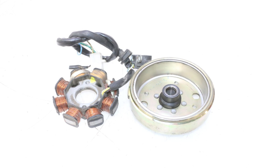photo de ROTOR STATOREN JM MOTORS OLDIES 4T 50 (2010 - 2020) - Kenmerkende details