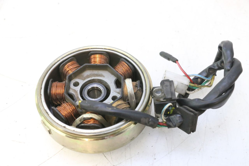photo de ROTOR STATOREN JM MOTORS OLDIES 4T 50 (2010 - 2020) - Overzicht
