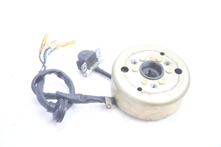 photo de ROTOR STATOREN IMF INDUSTRIE PACH 2T 50 (2009 - 2013) - Zoom op gebruiksstaat