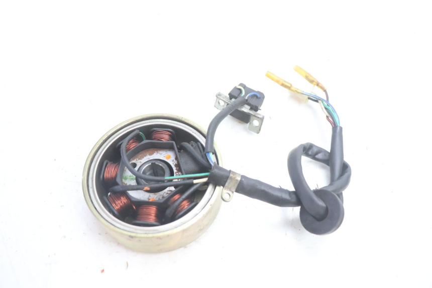 photo de ROTOR STATOREN IMF INDUSTRIE PACH 2T 50 (2009 - 2013) - Andere kijkhoek