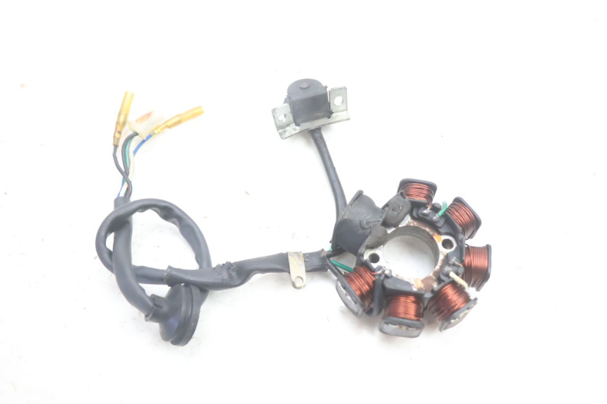 photo de ROTOR STATOREN IMF INDUSTRIE PACH 2T 50 (2009 - 2013) - Technische close-up