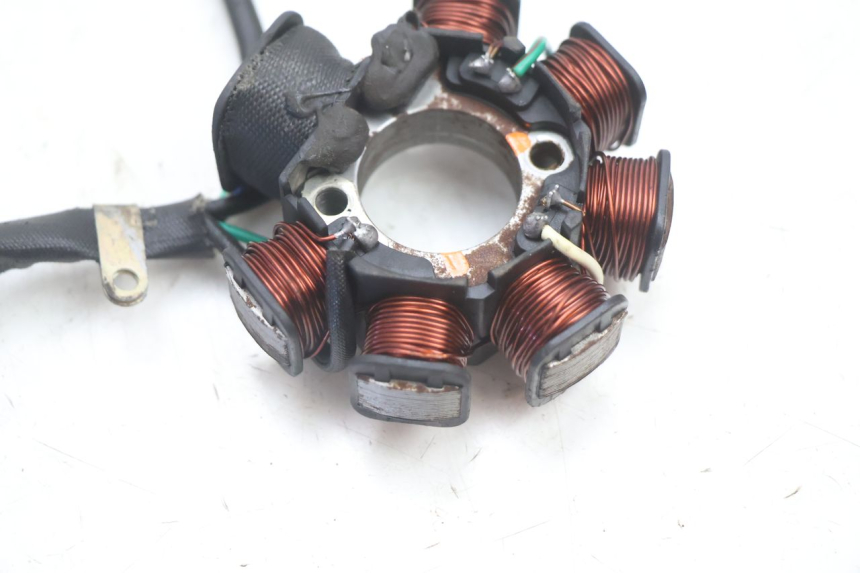 photo de ROTOR STATOREN IMF INDUSTRIE PACH 2T 50 (2009 - 2013) - Overzicht