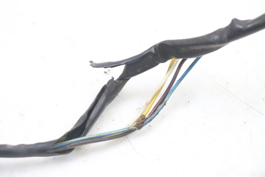 photo de ROTOR STATOREN PEUGEOT TKR TREKKER FURIOUS 50 (2005 - 2014) - Kenmerkende details