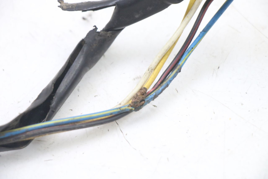 photo de ROTOR STATOREN PEUGEOT TKR TREKKER FURIOUS 50 (2005 - 2014) - Zoom op componenten