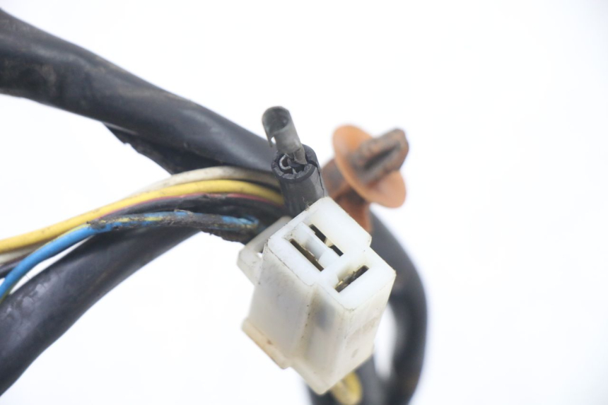 photo de ROTOR STATOREN PEUGEOT TKR TREKKER FURIOUS 50 (2005 - 2014) - Detailaanzicht