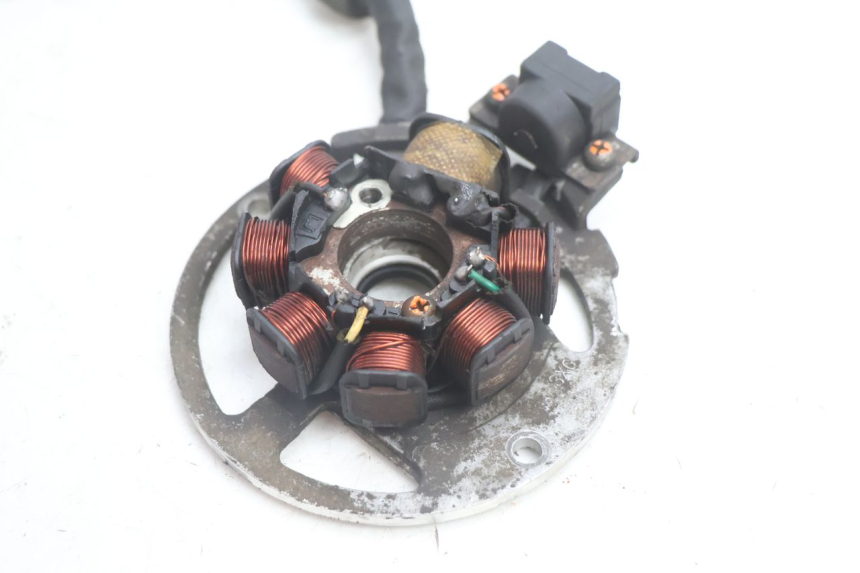photo de ROTOR STATOREN RAZZO QTR 50 (2011 - 2018) - Overzicht