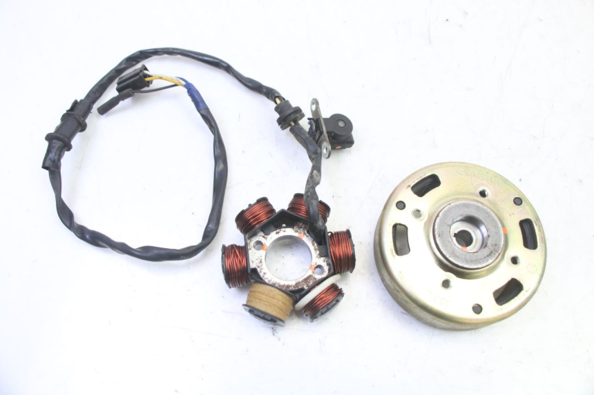 photo de ROTOR STATOREN PGO RODOSHOW 2T 50 (2003 - 2007) - Hoofdaanzicht