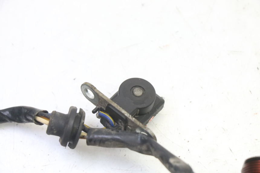 photo de ROTOR STATOREN PGO RODOSHOW 2T 50 (2003 - 2007) - Overzicht