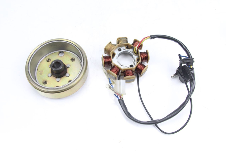 photo de ROTOR STATOREN TNT MOTOR ROMA 10' 4T 50 (2007 - 2018) - Zoom op gebruiksstaat