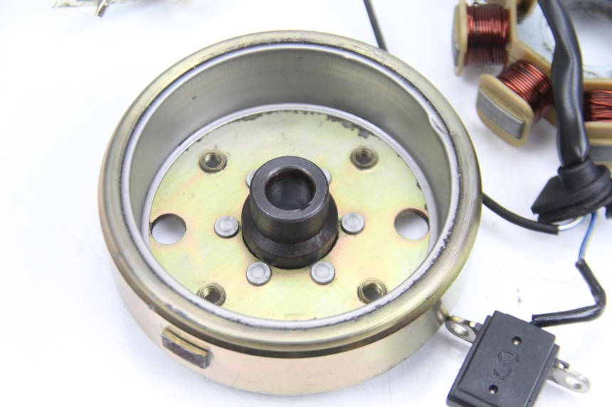 photo de ROTOR STATOREN TNT MOTOR ROMA 10' 4T 50 (2007 - 2018) - Technische close-up