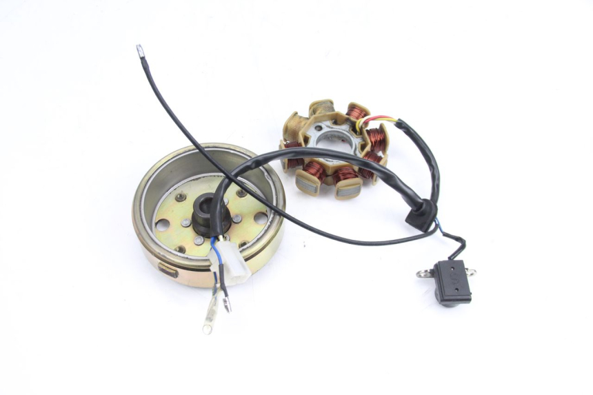 photo de ROTOR STATOREN TNT MOTOR ROMA 10' 4T 50 (2007 - 2018) - Overzicht