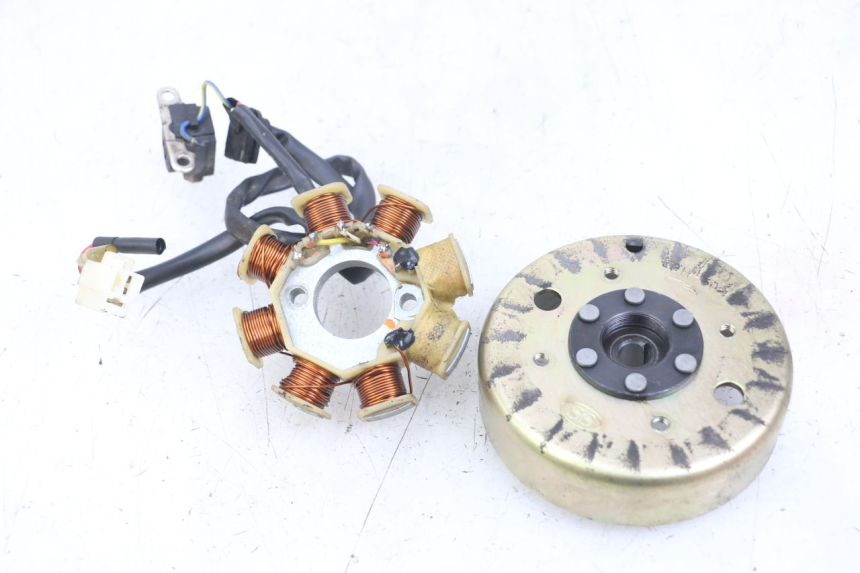 photo de ROTOR STATOREN TNT MOTOR ROMA 10' 4T 50 (2007 - 2018) - Hoofdaanzicht