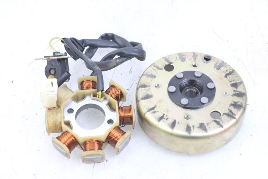 photo de ROTOR STATOREN TNT MOTOR ROMA 10' 4T 50 (2007 - 2018) - Zoom op gebruiksstaat