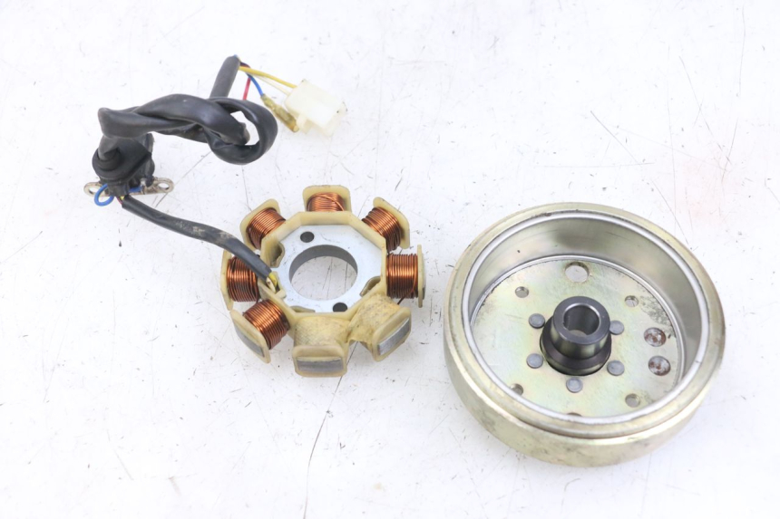 photo de ROTOR STATOREN TNT MOTOR ROMA 10' 4T 50 (2007 - 2018) - Technische close-up