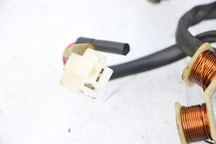 photo de ROTOR STATOREN TNT MOTOR ROMA 10' 4T 50 (2007 - 2018) - Bevestigingspunten