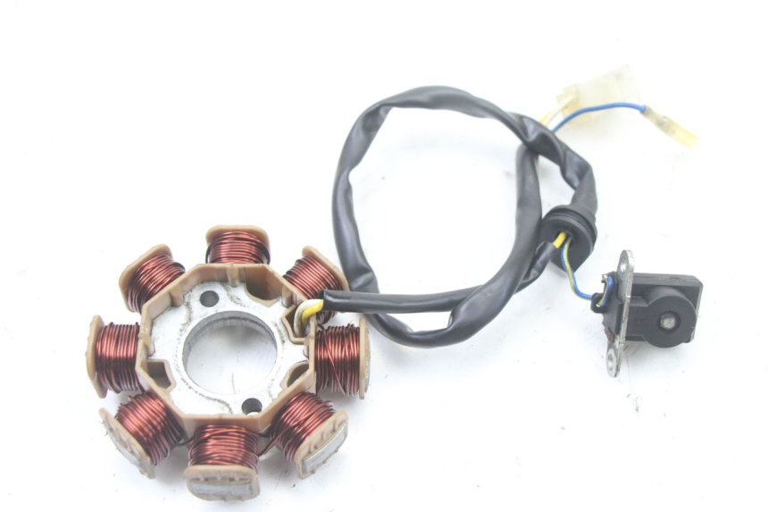 photo de ROTOR STATOREN TNT MOTOR ROMA 10' 4T 50 (2019 - 2022) - Technische close-up