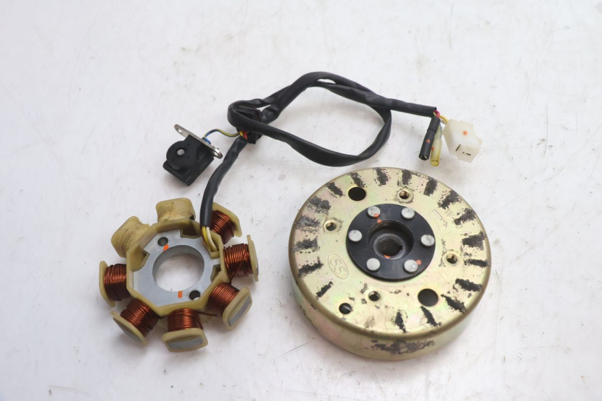 photo de ROTOR STATOREN TNT MOTOR ROMA 10' 4T 50 (2007 - 2018) - Hoofdaanzicht