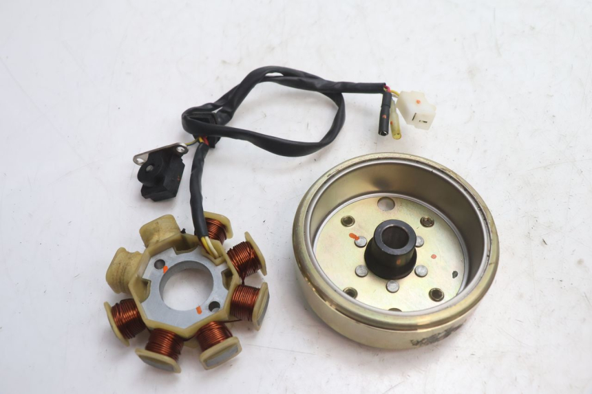 photo de ROTOR STATOREN TNT MOTOR ROMA 10' 4T 50 (2007 - 2018) - Detail van het onderdeel